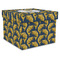Fish Gift Boxes with Lid - Canvas Wrapped - XX-Large - Front/Main