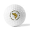 Fish Golf Balls - Generic - Set of 12 - FRONT