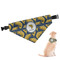 Fish Dog Bandana - Medium (Personalized)