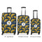 Fish Suitcase Set 1 - APPROVAL