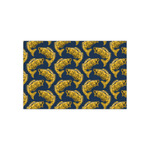 Fish Tissue Paper Sheets - Small - Heavyweight