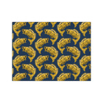 Fish Tissue Paper Sheets - Medium - Lightweight