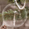 Dinosaurs Engraved Glass Ornaments - Round-Main Parent
