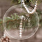 Dinosaurs Engraved Glass Ornament (Personalized)