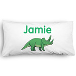 Dinosaurs Pillow Case - King - Graphic (Personalized)
