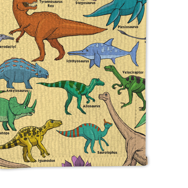 Dinosaurs Microfiber Dish Rag - DETAIL