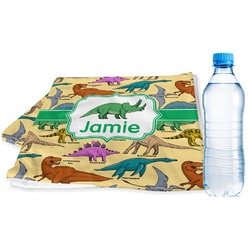 Dinosaurs Sports & Fitness Towel (Personalized)