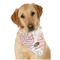Coconut and Leaves Dog Bandana Scarf w/ Name or Text