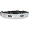 Coconut and Leaves Dog Collar Round - Main