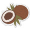 Coconut and Leaves Wall Graphic Decal