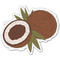 Coconut and Leaves Graphic Decal - XLarge