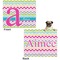 Colorful Chevron Microfleece Dog Blanket - Large- Front & Back