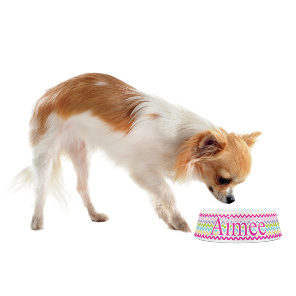 Colorful Chevron Plastic Pet Bowls - Small - LIFESTYLE