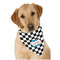 Checkers & Racecars Bandana - On Dog