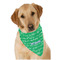 Equations Dog Bandana Scarf w/ Name or Text