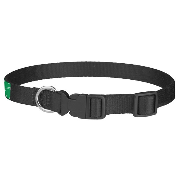 Equations Dog Collar - Medium - Back