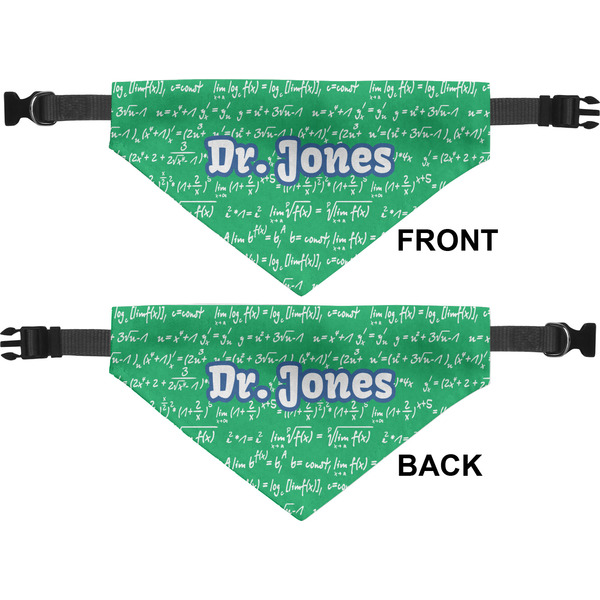 Equations Pet Bandana Approval