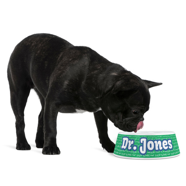 Equations Plastic Pet Bowls - Medium - LIFESTYLE