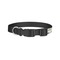 Hipster Cats & Mustache Dog Collar - Small - Back