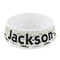 Hipster Cats & Mustache Plastic Dog Bowl - Small (Personalized)