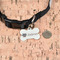 Hipster Cats Bone Shaped Dog ID Tag - Small - In Context