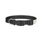 Hipster Cats Dog Collar - Small - Back