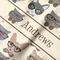 Hipster Cats Hooded Baby Towel- Detail Close Up