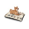 Hipster Cats Outdoor Dog Beds - Small - IN CONTEXT