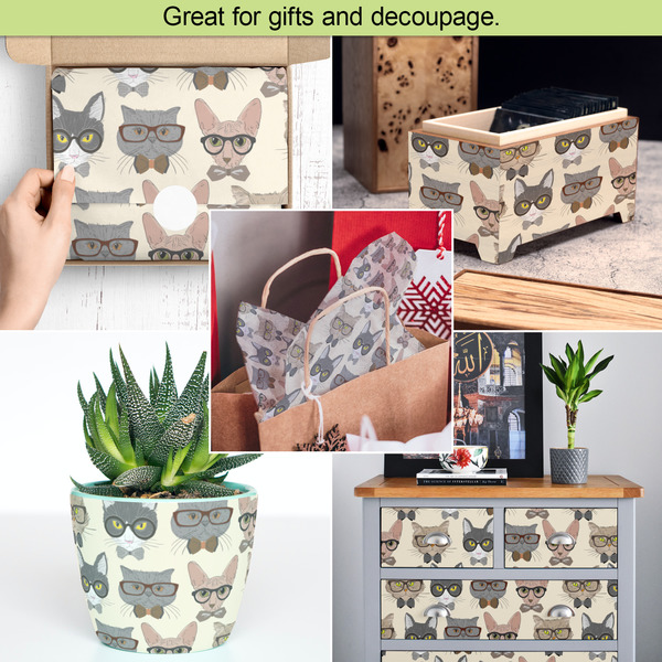 Hipster Cats Tissue Paper - In Use Collage