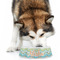 Teal Ribbons & Labels Plastic Pet Bowls - Large - LIFESTYLE