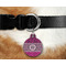 Triple Animal Print Round Pet Tag on Collar & Dog