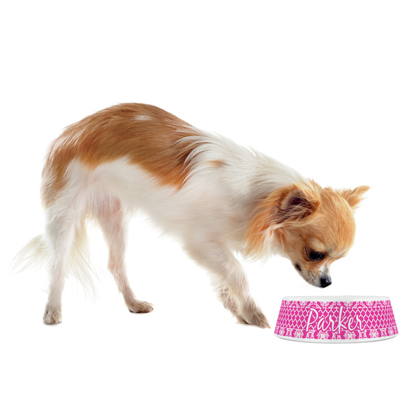 Moroccan & Damask Plastic Pet Bowls - Small - LIFESTYLE