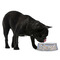 Gingham & Elephants Plastic Pet Bowls - Medium - LIFESTYLE