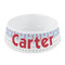 Light House & Waves Plastic Dog Bowl - Small (Personalized)