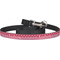 Sail Boats & Stripes Dog Leash (Personalized)