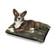 Green Camo Outdoor Dog Beds - Medium - IN CONTEXT