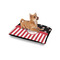 Pirate & Stripes Outdoor Dog Beds - Small - IN CONTEXT