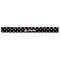 Pirate Plastic Ruler - 12" - FRONT