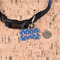 Blue Pirate Bone Shaped Dog ID Tag - Small - In Context