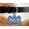Blue Pirate Bone Shaped Dog Tag on Collar & Dog