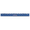 Blue Pirate Plastic Ruler - 12" - FRONT