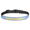 Boy's Astronaut Dog Collar (Personalized)
