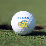 Dinosaur Print Golf Balls - Non-Branded - Set of 12 (Personalized)