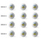 Dinosaur Print Golf Balls - Generic - Set of 12 - APPROVAL