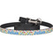 Dinosaur Print Dog Leash (Personalized)