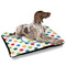 Dots & Dinosaur Outdoor Dog Beds - Large - IN CONTEXT