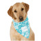 Lace Dog Bandana Scarf w/ Name and Initial