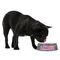 Houndstooth w/Pink Accent Plastic Pet Bowls - Medium - LIFESTYLE
