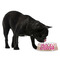 Pink Monsters & Stripes Plastic Pet Bowls - Medium - LIFESTYLE
