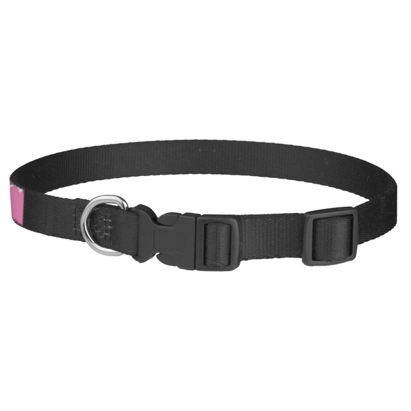 Pink Pirate Dog Collar - Medium - Back